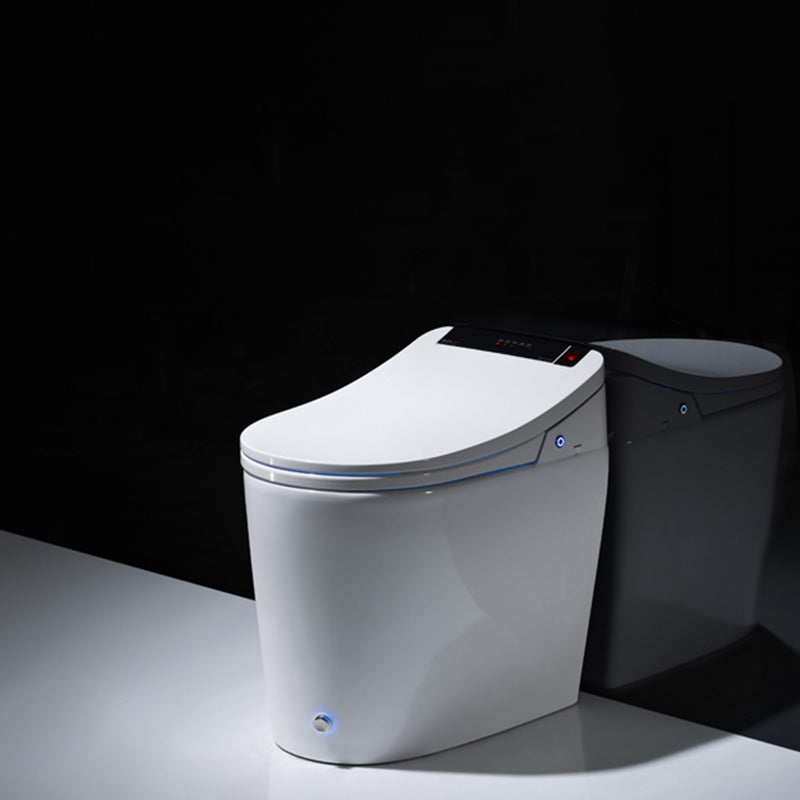 Elongated Floor Standing Bidet Vitreous China Bidets Floor Mount Bidet Clearhalo 'Bathroom Remodel & Bathroom Fixtures' 'Bidets' 'Home Improvement' 'home_improvement' 'home_improvement_bidets' 'Toilets & Bidets' 7230747