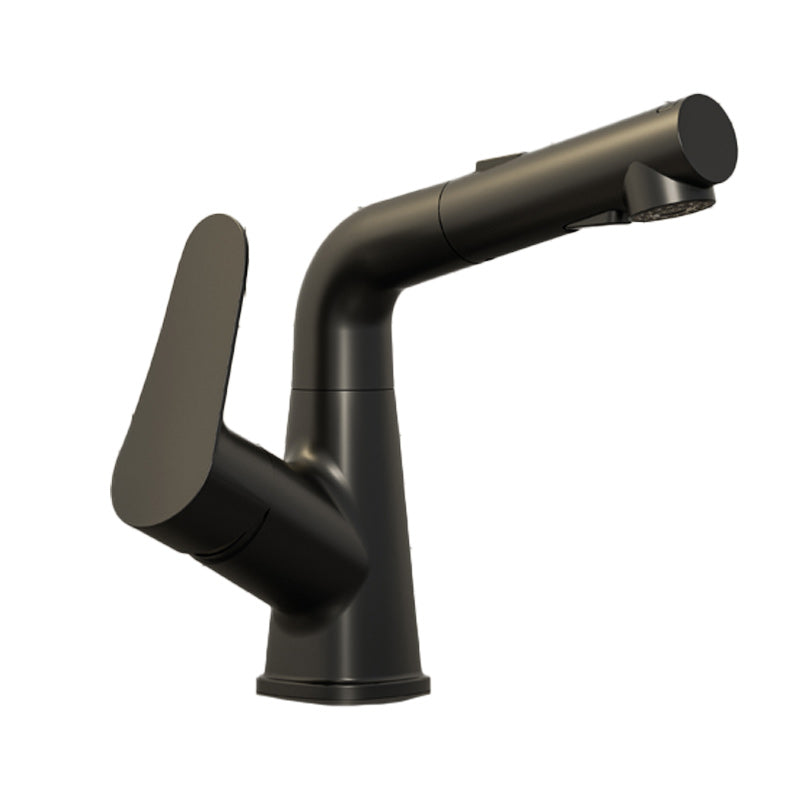 Swivel Spout Vessel Sink Faucet Lever Handle with Pull Out Sprayer Clearhalo 'bathroom_sink_faucets' 'Conjunta de Baño y Conjunta de Grifo' 'Coronamiento de Baño y Dispositivo de Baño' 'Grifo del lavabo del baño' 'Hogar' 'home_improvement' 'home_improvement_bathroom_sink_faucets' 'Mejoras para el hogar' 7253352