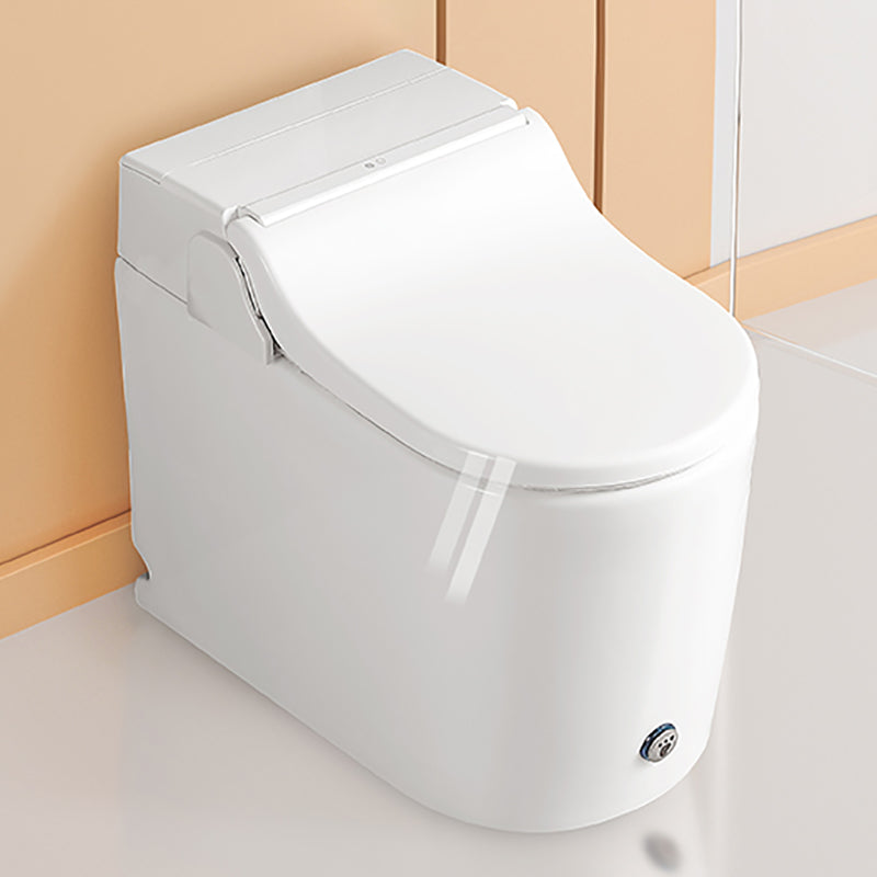 Elongated All-In-One Bidet Floor Mount Bidet without Water Pressure Control White Manual Flip Clearhalo 'Bathroom Remodel & Bathroom Fixtures' 'Bidets' 'Home Improvement' 'home_improvement' 'home_improvement_bidets' 'Toilets & Bidets' 7258687