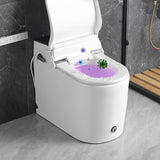 Elongated All-In-One Bidet Floor Mount Bidet without Water Pressure Control Clearhalo 'Bathroom Remodel & Bathroom Fixtures' 'Bidets' 'Home Improvement' 'home_improvement' 'home_improvement_bidets' 'Toilets & Bidets' 7258690