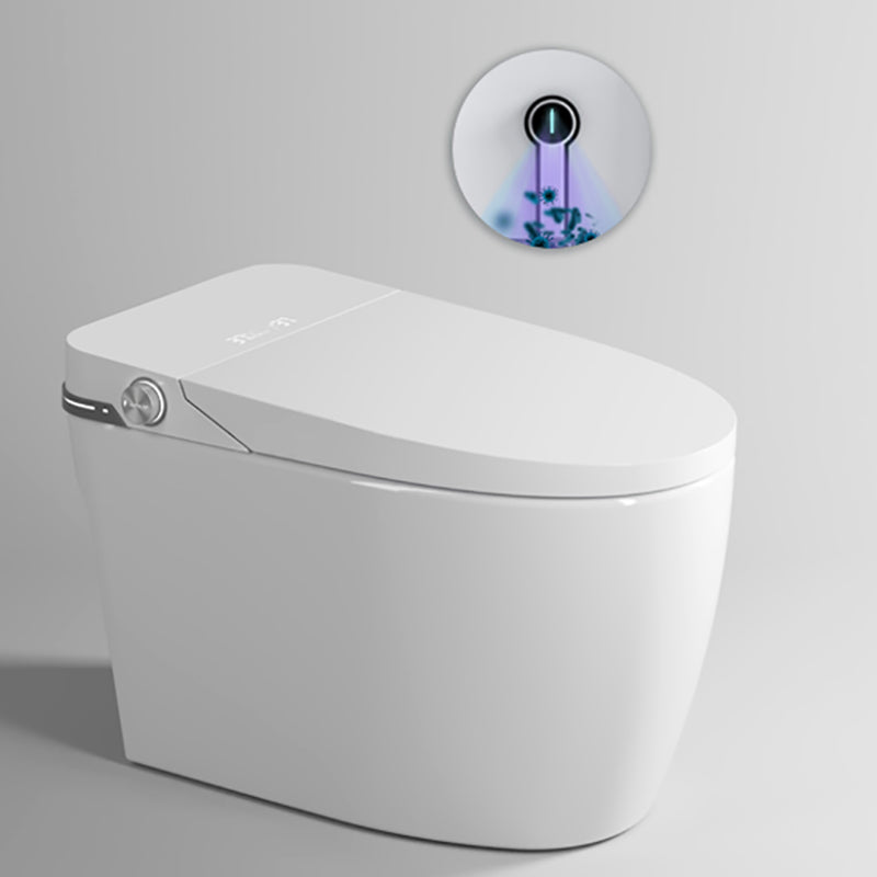 Elongated Floor Standing Bidet in White Smart Bidet with Heated Seat Clearhalo 'Bathroom Remodel & Bathroom Fixtures' 'Bidets' 'Home Improvement' 'home_improvement' 'home_improvement_bidets' 'Toilets & Bidets' 7258704