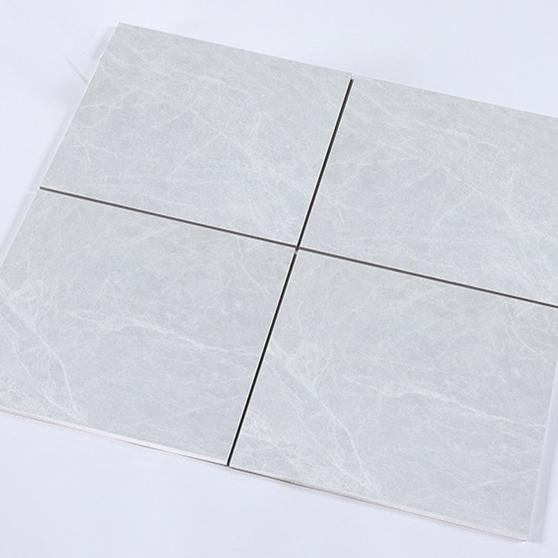 Ceramic Floor Tile Straight Edge Square Waterproof Matte Floor Tile Clearhalo 'Floor Tiles & Wall Tiles' 'floor_tiles_wall_tiles' 'Flooring 'Home Improvement' 'home_improvement' 'home_improvement_floor_tiles_wall_tiles' Walls and Ceiling' 7269067