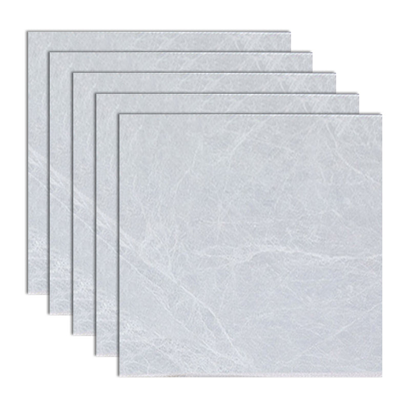 Ceramic Floor Tile Straight Edge Square Waterproof Matte Floor Tile Light Gray 12"L x 12"W Clearhalo 'Floor Tiles & Wall Tiles' 'floor_tiles_wall_tiles' 'Flooring 'Home Improvement' 'home_improvement' 'home_improvement_floor_tiles_wall_tiles' Walls and Ceiling' 7269068