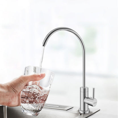 Contemporary Single Handle Kitchen Faucet Water Purification Direct Drinking Bar Faucet Silver Clearhalo 'Home Improvement' 'home_improvement' 'home_improvement_kitchen_faucets' 'Kitchen Faucets' 'Kitchen Remodel & Kitchen Fixtures' 'Kitchen Sinks & Faucet Components' 'kitchen_faucets' 7274533