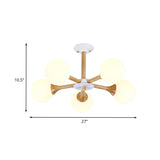 Radial Bedroom Pendant Chandelier Wood 5-Bulb Modern Hanging Lamp Kid with Orb White Glass Shade Clearhalo 'Ceiling Lights' 'Chandeliers' 'Glass shade' 'Glass' 'Modern Chandeliers' 'Modern' Lighting' 731227