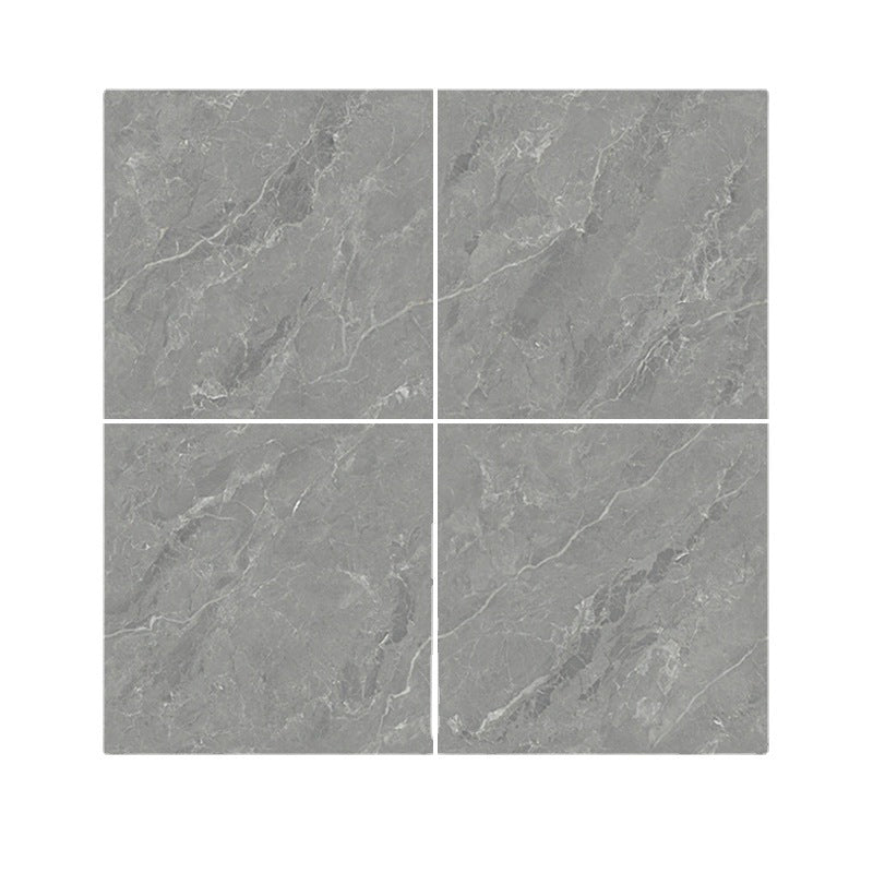 Modern Matte Square Singular Tile Marble Gray Tile for Home Decoration Clearhalo 'Floor Tiles & Wall Tiles' 'floor_tiles_wall_tiles' 'Flooring 'Home Improvement' 'home_improvement' 'home_improvement_floor_tiles_wall_tiles' Walls and Ceiling' 7340877