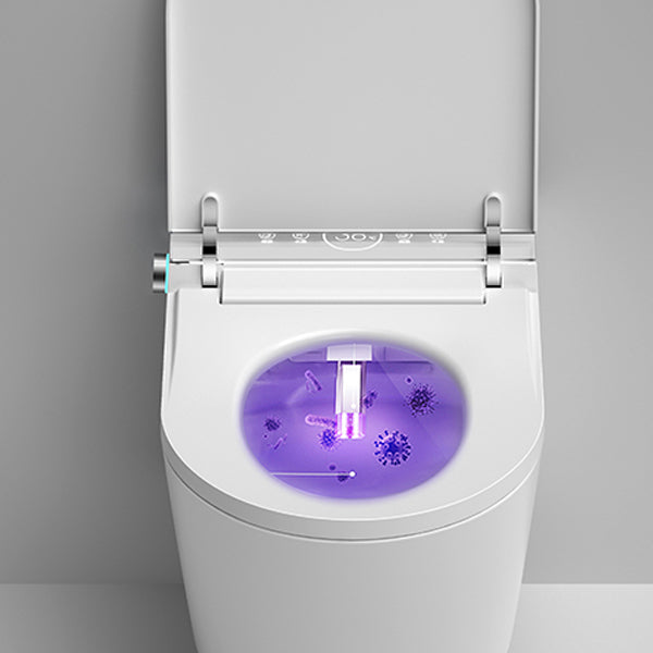 Dual Flush Wall Hung Toilet Set Elongated Wall Mounted Bidet Clearhalo 'Bathroom Remodel & Bathroom Fixtures' 'Bidets' 'Home Improvement' 'home_improvement' 'home_improvement_bidets' 'Toilets & Bidets' 7343424