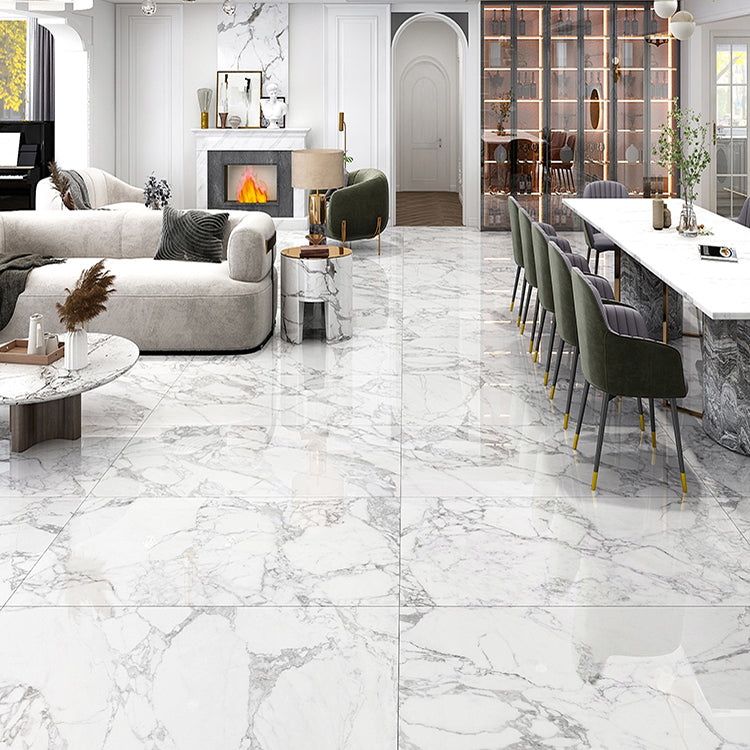 Ceramic Floor and Wall Tile Indoor Rectangular Shape Floor and Wall Tile Clearhalo 'Floor Tiles & Wall Tiles' 'floor_tiles_wall_tiles' 'Flooring 'Home Improvement' 'home_improvement' 'home_improvement_floor_tiles_wall_tiles' Walls and Ceiling' 7377229