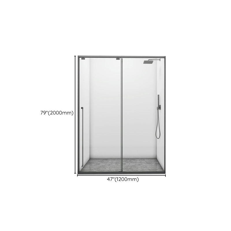 Gray Single Sliding Door Shower Door Tempered Glass Shower Door Clearhalo 'Bathroom Remodel & Bathroom Fixtures' 'Home Improvement' 'home_improvement' 'home_improvement_shower_tub_doors' 'Shower and Tub Doors' 'shower_tub_doors' 'Showers & Bathtubs' 7386430