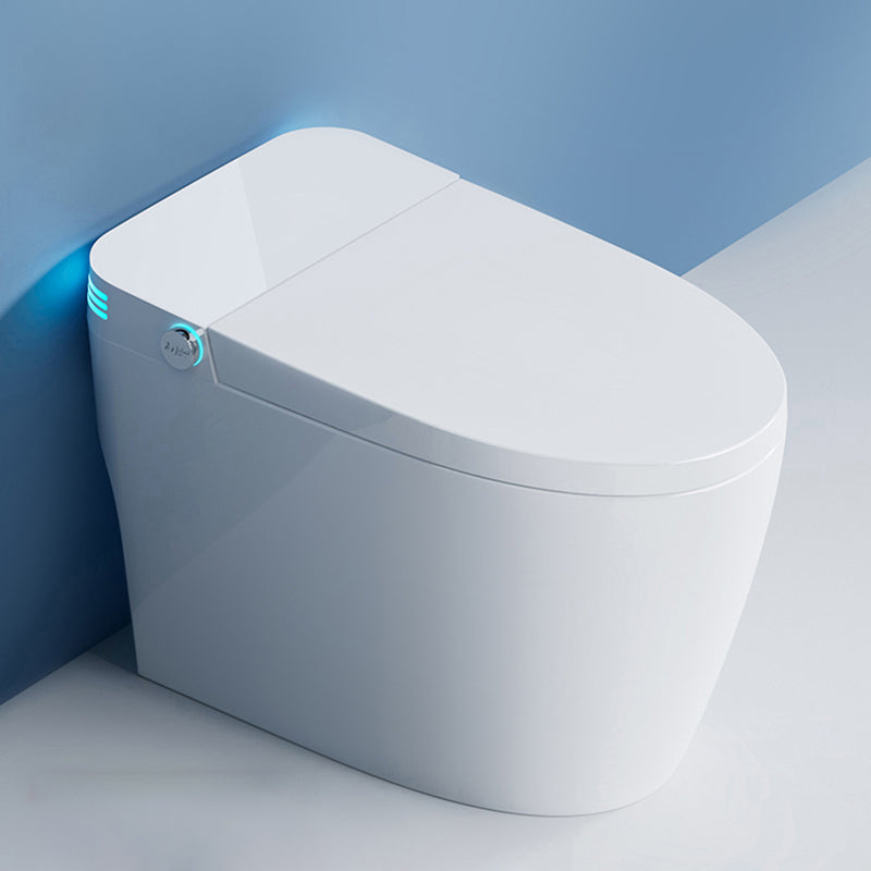 Elongated Smart Bidet with Tank All-In-One Ceramic Bidet with Heated Seat Clearhalo 'Bathroom Remodel & Bathroom Fixtures' 'Bidets' 'Home Improvement' 'home_improvement' 'home_improvement_bidets' 'Toilets & Bidets' 7389938