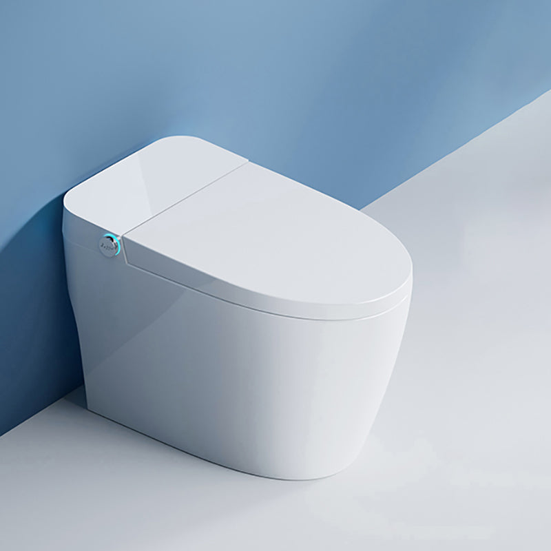Elongated Smart Bidet with Tank All-In-One Ceramic Bidet with Heated Seat White Clearhalo 'Bathroom Remodel & Bathroom Fixtures' 'Bidets' 'Home Improvement' 'home_improvement' 'home_improvement_bidets' 'Toilets & Bidets' 7389939