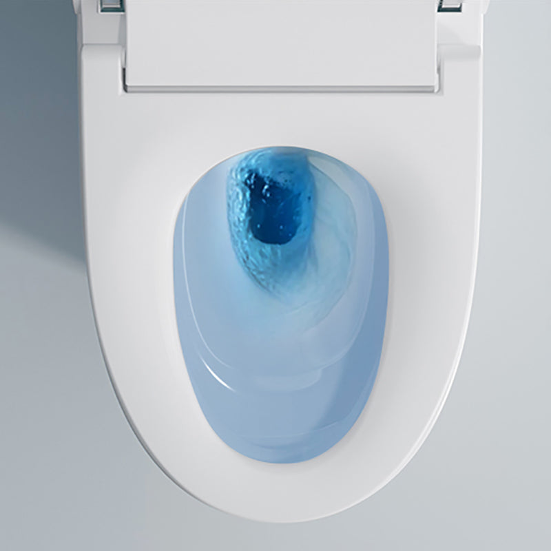 Elongated Smart Bidet with Tank All-In-One Ceramic Bidet with Heated Seat Clearhalo 'Bathroom Remodel & Bathroom Fixtures' 'Bidets' 'Home Improvement' 'home_improvement' 'home_improvement_bidets' 'Toilets & Bidets' 7389943