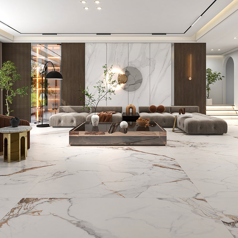 Indoor Wall & Floor Tile Porcelain Floor and Wall Tile with Rectangular Shape Clearhalo 'Floor Tiles & Wall Tiles' 'floor_tiles_wall_tiles' 'Flooring 'Home Improvement' 'home_improvement' 'home_improvement_floor_tiles_wall_tiles' Walls and Ceiling' 7402413