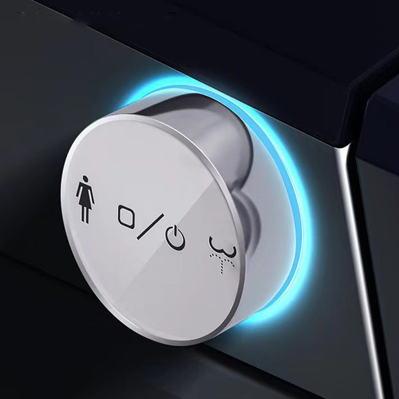 Elongated Smart Toilet Seat Bidet Vitreous China Bidet Seat with Heated Seat Clearhalo 'Bathroom Remodel & Bathroom Fixtures' 'Bidets' 'Home Improvement' 'home_improvement' 'home_improvement_bidets' 'Toilets & Bidets' 7402562