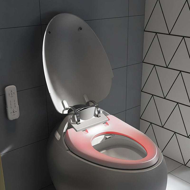 Gray Plastic Floor Standing Bidet Contemporary Floor Mount Bidet Clearhalo 'Bathroom Remodel & Bathroom Fixtures' 'Bidets' 'Home Improvement' 'home_improvement' 'home_improvement_bidets' 'Toilets & Bidets' 7416772