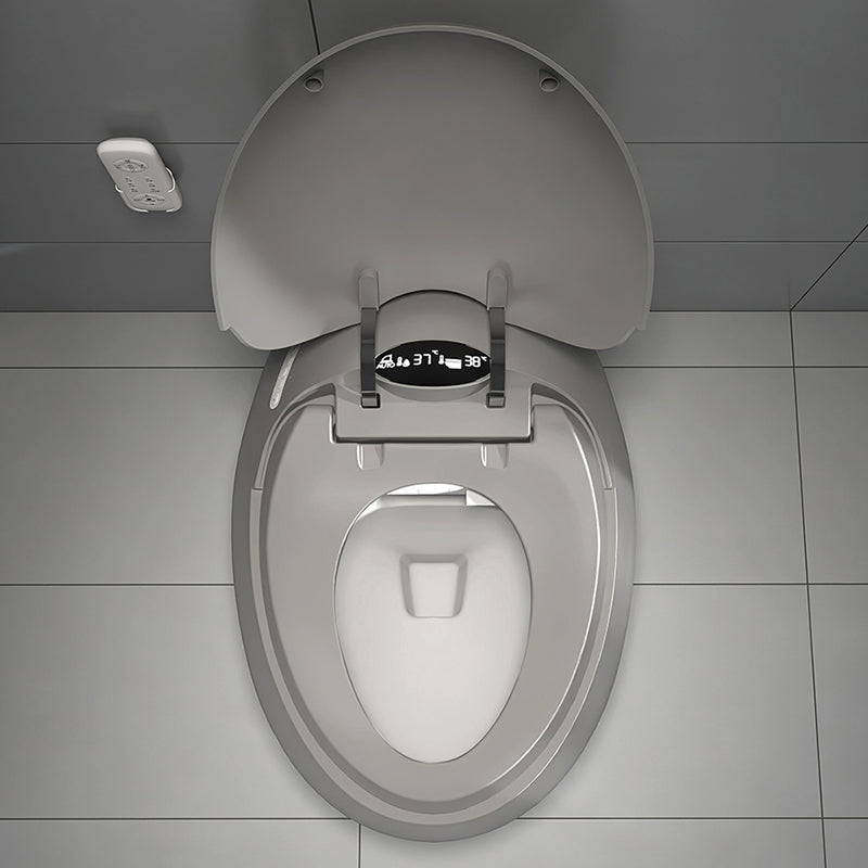 Gray Plastic Floor Standing Bidet Contemporary Floor Mount Bidet Clearhalo 'Bathroom Remodel & Bathroom Fixtures' 'Bidets' 'Home Improvement' 'home_improvement' 'home_improvement_bidets' 'Toilets & Bidets' 7416776