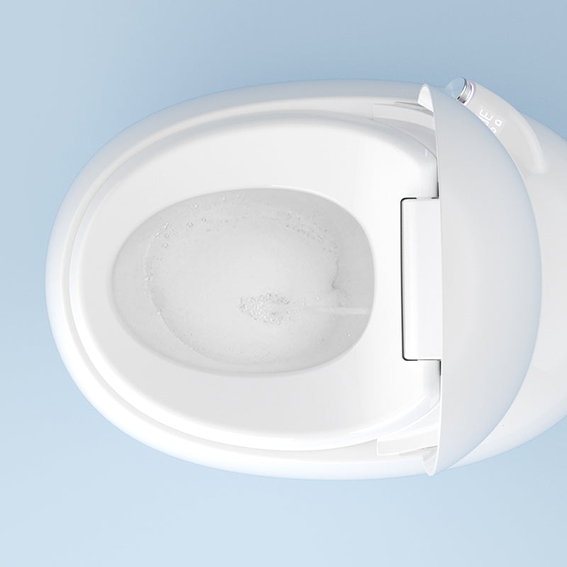 White Round Smart Toilet Stain Resistant Deodorizing Floor Mount Bidet Clearhalo 'Bathroom Remodel & Bathroom Fixtures' 'Bidets' 'Home Improvement' 'home_improvement' 'home_improvement_bidets' 'Toilets & Bidets' 7416858