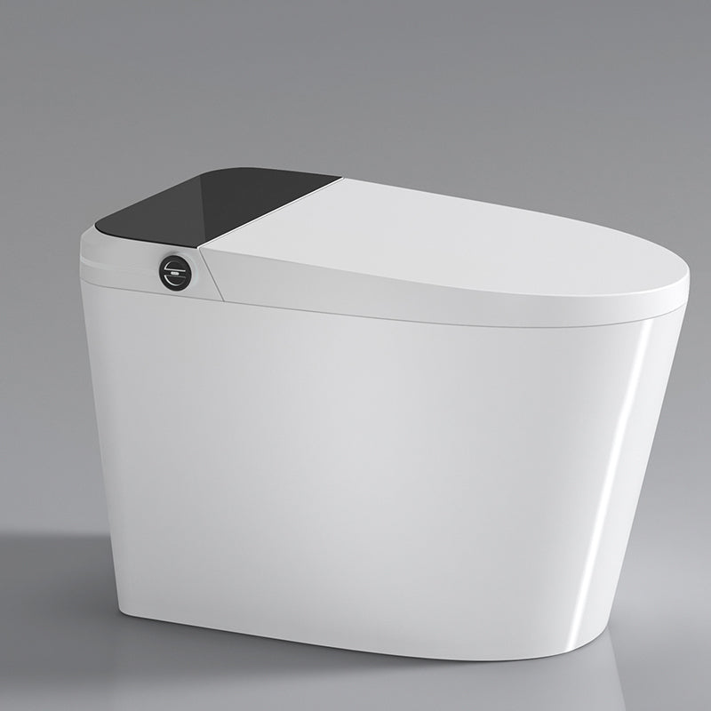 Soft Close Bidet Seat Elongated Ceramic Toilet With Bidet And Seat Manual Flip (Standard) Clearhalo 'Bathroom Remodel & Bathroom Fixtures' 'Bidets' 'Home Improvement' 'home_improvement' 'home_improvement_bidets' 'Toilets & Bidets' 7438123