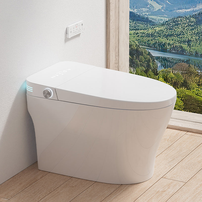 Simplicity Bidets Bidets Toilet Temperature Control Elongated Seat Bidet in White White Clearhalo 'Bathroom Remodel & Bathroom Fixtures' 'Bidets' 'Home Improvement' 'home_improvement' 'home_improvement_bidets' 'Toilets & Bidets' 7554933