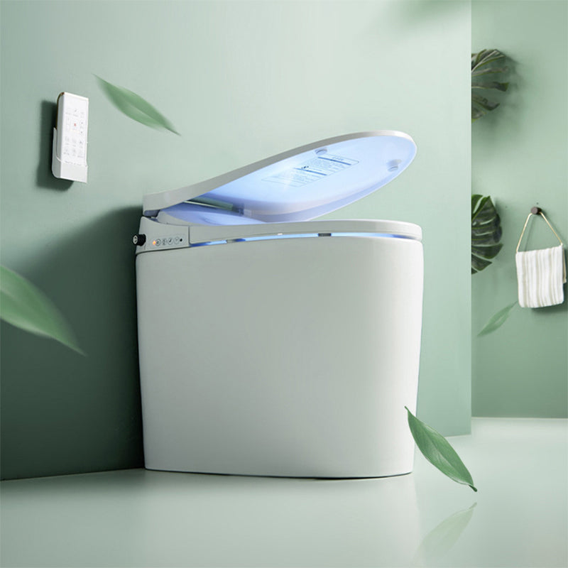 Elongated White Bidet 20.47" H One-Piece Smart Toilet Bidet with Dryer Clearhalo 'Bathroom Remodel & Bathroom Fixtures' 'Bidets' 'Home Improvement' 'home_improvement' 'home_improvement_bidets' 'Toilets & Bidets' 7555234