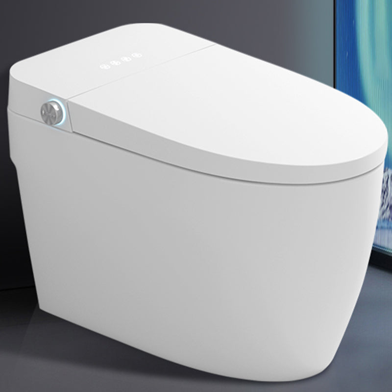 Elongated Vitreous China Bidet All-In-One Smart Toilet Seat Bidet Clearhalo 'Bathroom Remodel & Bathroom Fixtures' 'Bidets' 'Home Improvement' 'home_improvement' 'home_improvement_bidets' 'Toilets & Bidets' 7612372