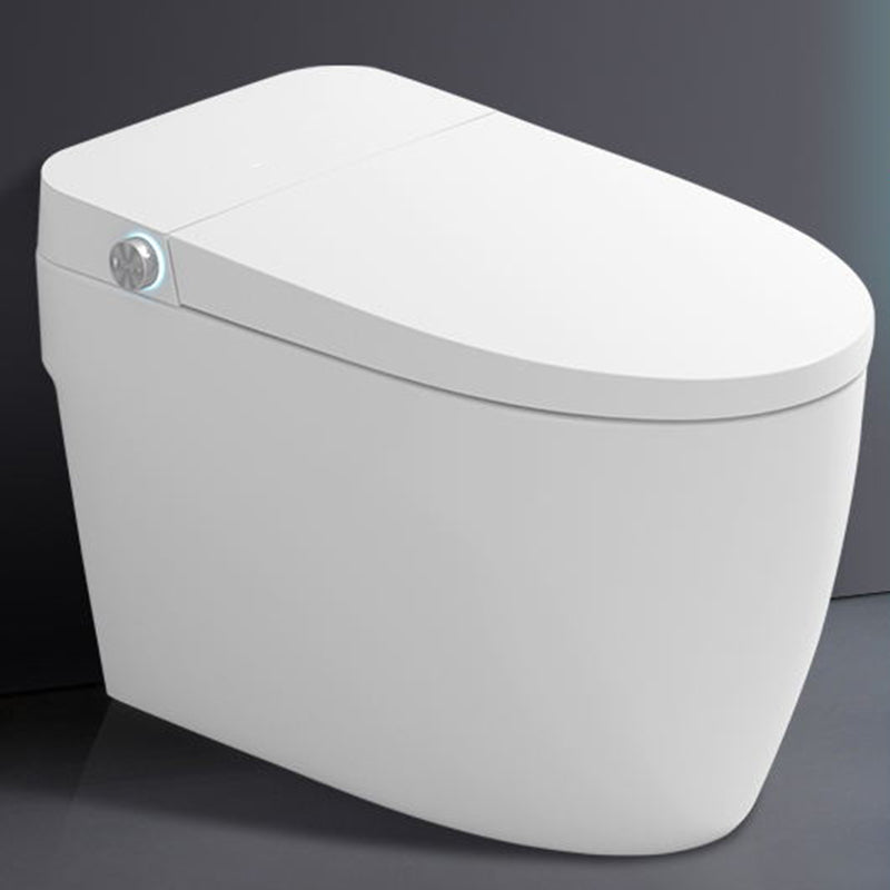 Elongated Vitreous China Bidet All-In-One Smart Toilet Seat Bidet Clearhalo 'Bathroom Remodel & Bathroom Fixtures' 'Bidets' 'Home Improvement' 'home_improvement' 'home_improvement_bidets' 'Toilets & Bidets' 7612373