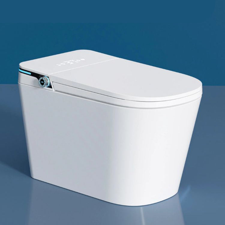 Contemporary White Floor Mount Bidet Elongated Horizontal with Bidet And Seat Clearhalo 'Bathroom Remodel & Bathroom Fixtures' 'Bidets' 'Home Improvement' 'home_improvement' 'home_improvement_bidets' 'Toilets & Bidets' 7645831