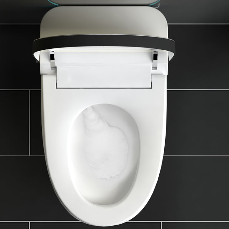 Elongated Floor Standing Bidet with Warm Air Dryer and Bidet Sprayer Clearhalo 'Bathroom Remodel & Bathroom Fixtures' 'Bidets' 'Home Improvement' 'home_improvement' 'home_improvement_bidets' 'Toilets & Bidets' 7703904