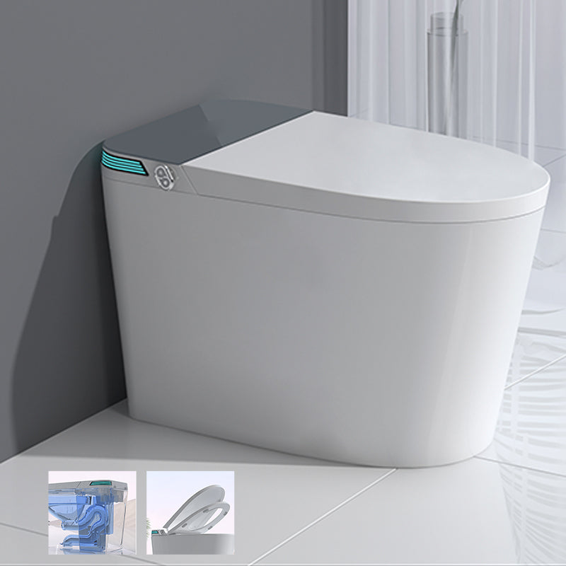 Elongated Floor Standing Bidet with Warm Air Dryer and Bidet Sprayer Gray/ White Automatic Lid( Top Configuration) Clearhalo 'Bathroom Remodel & Bathroom Fixtures' 'Bidets' 'Home Improvement' 'home_improvement' 'home_improvement_bidets' 'Toilets & Bidets' 7703909