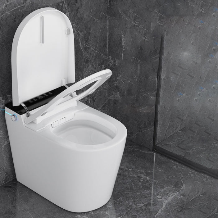 Elongated All-in-One Bidet Toilet Seat with Unlimited Warm Water Clearhalo 'Bathroom Remodel & Bathroom Fixtures' 'Bidets' 'Home Improvement' 'home_improvement' 'home_improvement_bidets' 'Toilets & Bidets' 7758132