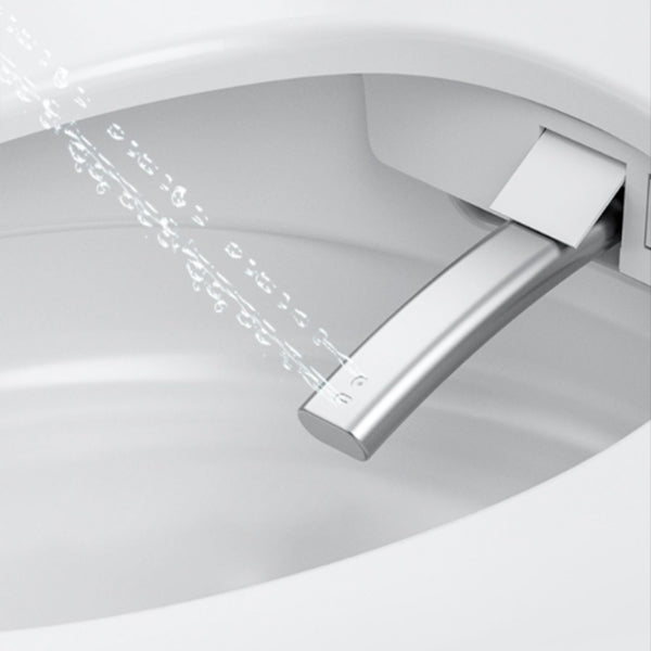 Elongated All-in-One Bidet Toilet Seat with Unlimited Warm Water Clearhalo 'Bathroom Remodel & Bathroom Fixtures' 'Bidets' 'Home Improvement' 'home_improvement' 'home_improvement_bidets' 'Toilets & Bidets' 7758138