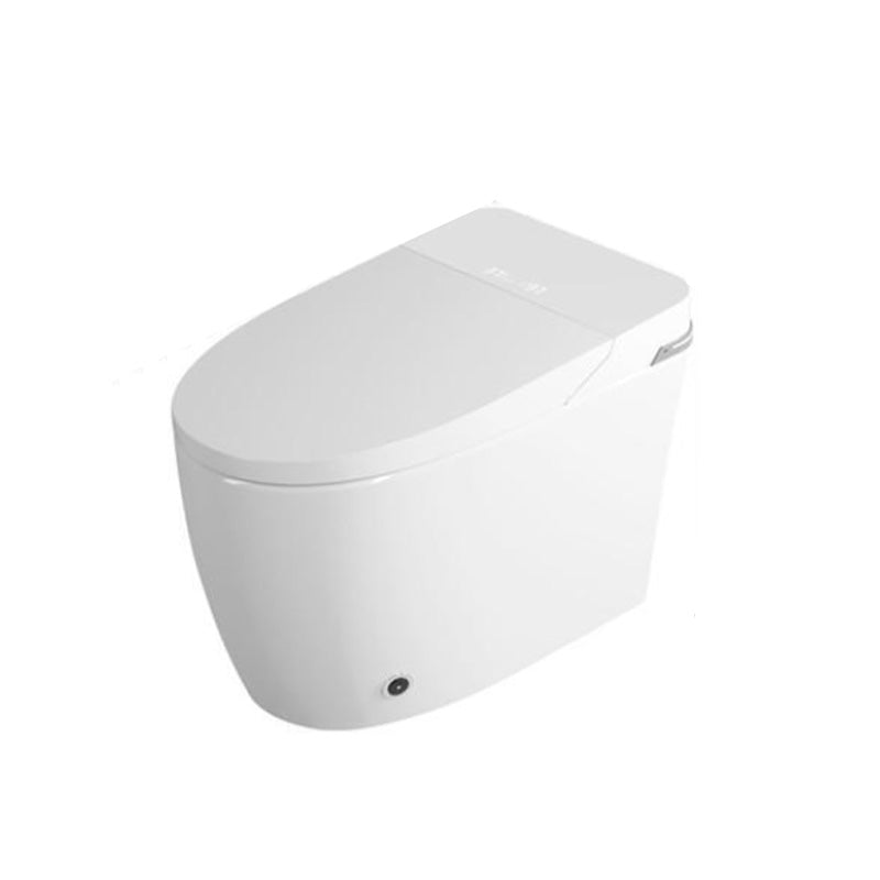 15.9" W Antimicrobial Ceramic Floor Mount Bidet with Warm Air Dryer Clearhalo 'Bathroom Remodel & Bathroom Fixtures' 'Bidets' 'Home Improvement' 'home_improvement' 'home_improvement_bidets' 'Toilets & Bidets' 7758146