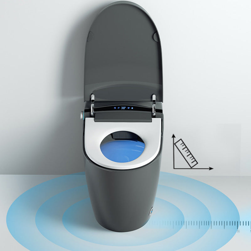 Gray Electronic Elongated Toilet Seat Bidet with Wireless Remote Control Clearhalo 'Bathroom Remodel & Bathroom Fixtures' 'Bidets' 'Home Improvement' 'home_improvement' 'home_improvement_bidets' 'Toilets & Bidets' 7758169