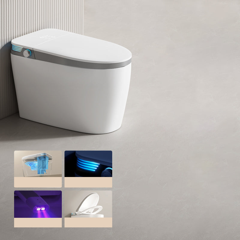 Elongated Ceramic Contemporary with Heated Seat Floor Standing Bidet Grey Radar Flip (Upgrading) Clearhalo 'Bathroom Remodel & Bathroom Fixtures' 'Bidets' 'Home Improvement' 'home_improvement' 'home_improvement_bidets' 'Toilets & Bidets' 7758344