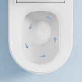 Vitreous China Elongated Toilet Seat Bidet with Temperature Control Clearhalo 'Bathroom Remodel & Bathroom Fixtures' 'Bidets' 'Home Improvement' 'home_improvement' 'home_improvement_bidets' 'Toilets & Bidets' 7878521