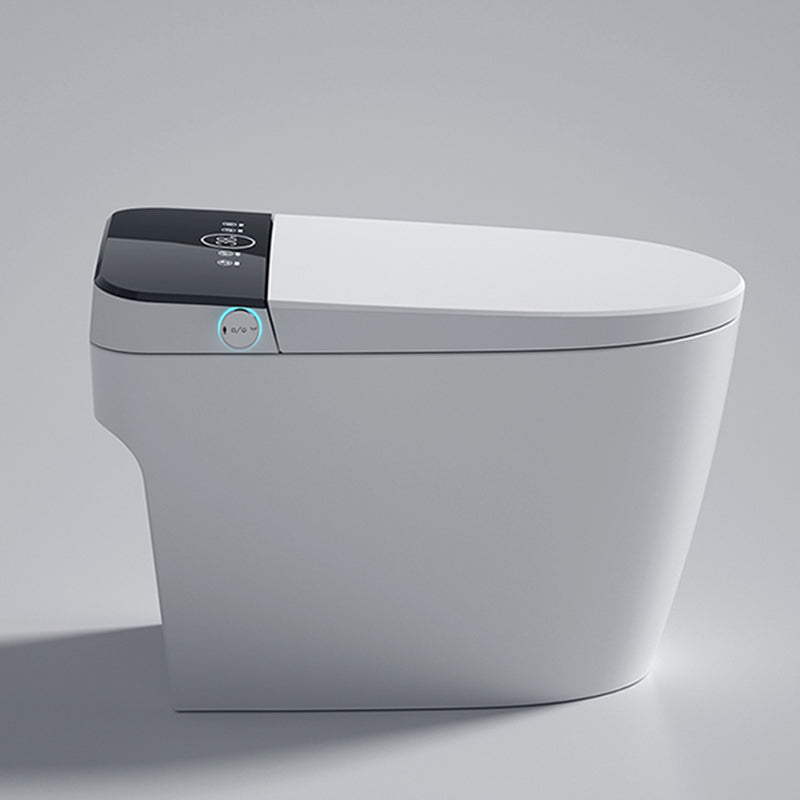 Elongated 15" W Floor Mounted Smart Bidet with Unlimited Warm Water Clearhalo 'Bathroom Remodel & Bathroom Fixtures' 'Bidets' 'Home Improvement' 'home_improvement' 'home_improvement_bidets' 'Toilets & Bidets' 7878601