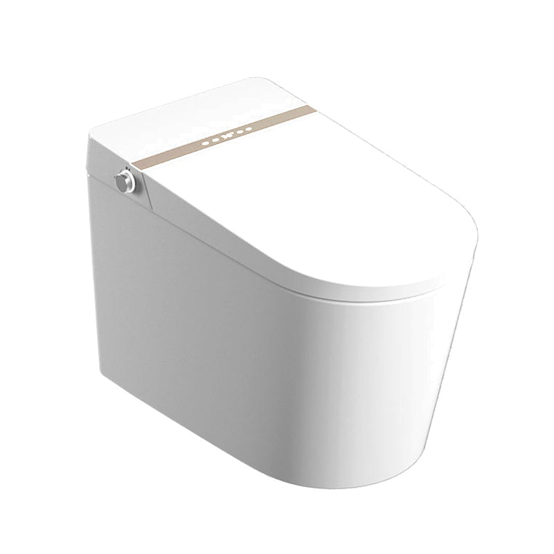 Ceramic Antimicrobial Elongated Floor Standing Bidet in White with Heated Seat and Stain Resistant Clearhalo 'Bathroom Remodel & Bathroom Fixtures' 'Bidets' 'Home Improvement' 'home_improvement' 'home_improvement_bidets' 'Toilets & Bidets' 7918959