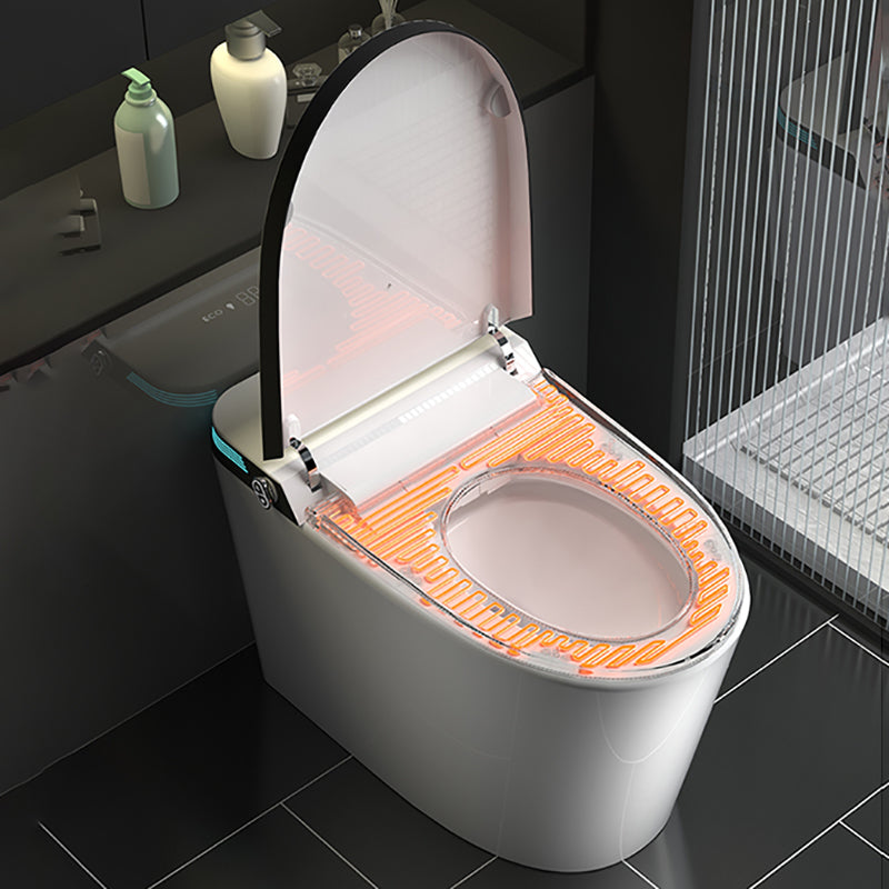 Elongated All-in-One Smart Bidet Toilet Seat with Unlimited Warm Water Clearhalo 'Bathroom Remodel & Bathroom Fixtures' 'Bidets' 'Home Improvement' 'home_improvement' 'home_improvement_bidets' 'Toilets & Bidets' 8033538