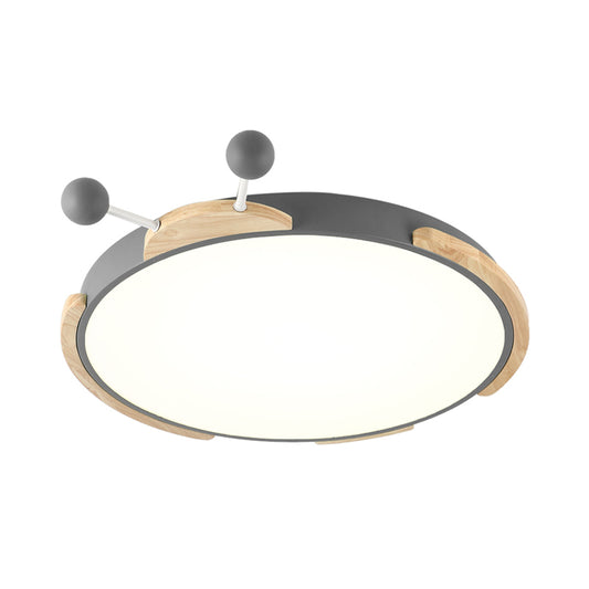 Acrylic Cartoon Insect Ceiling Lamp Modern Led Flushmount Lighting in Warm/White Light, Gray/Green Clearhalo 'Ceiling Lights' 'Close To Ceiling Lights' 'Close to ceiling' 'Flush mount' Lighting' 812758