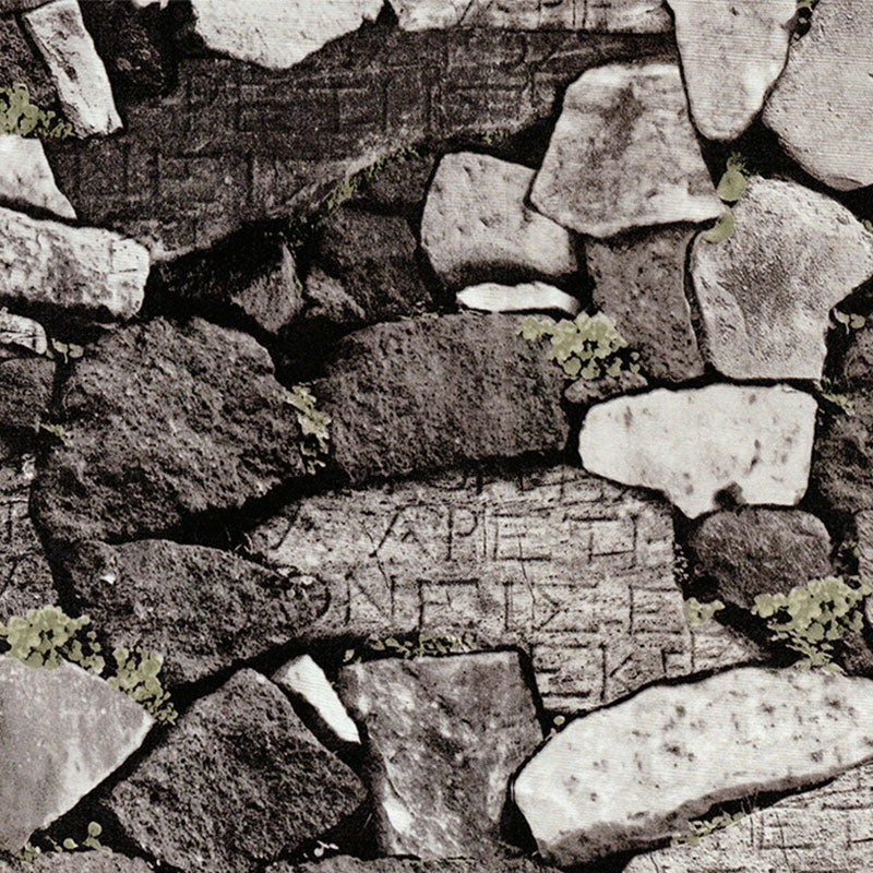 Vinilo estampado para pared Ladrillos de piedra irregulares de co