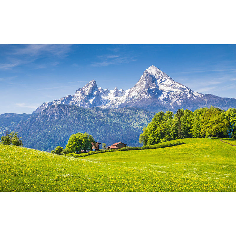 Fresh Giant Murals with Blue and Green Icy Mountain and Meadow Wall Decor Clearhalo 'Wall Decor' 'Wall Mural' 918054