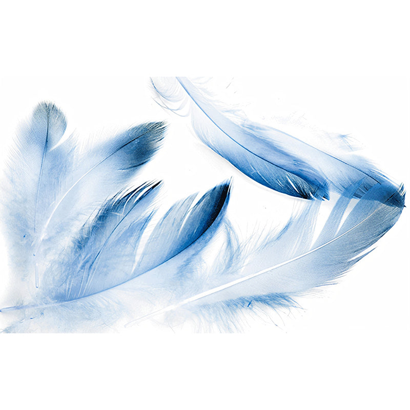 Full Size Feather Wall Art for Accent Wall Fantasy Watercolors Mural in Soft Blue, Stain-Resistant Clearhalo 'Wall Decor' 'Wall Mural' 921677