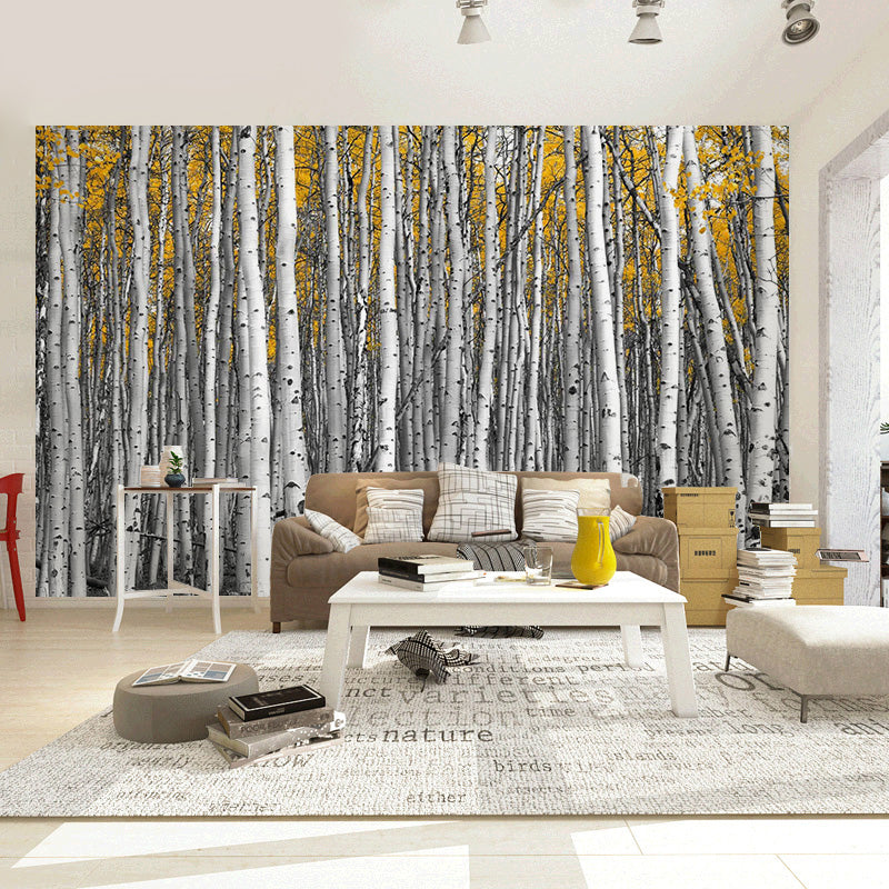 Big Photo Style Simple Mural for Home Decoration with Birch Tree Design in Grey and Yellow Clearhalo 'Wall Decor' 'Wall Mural' 965167