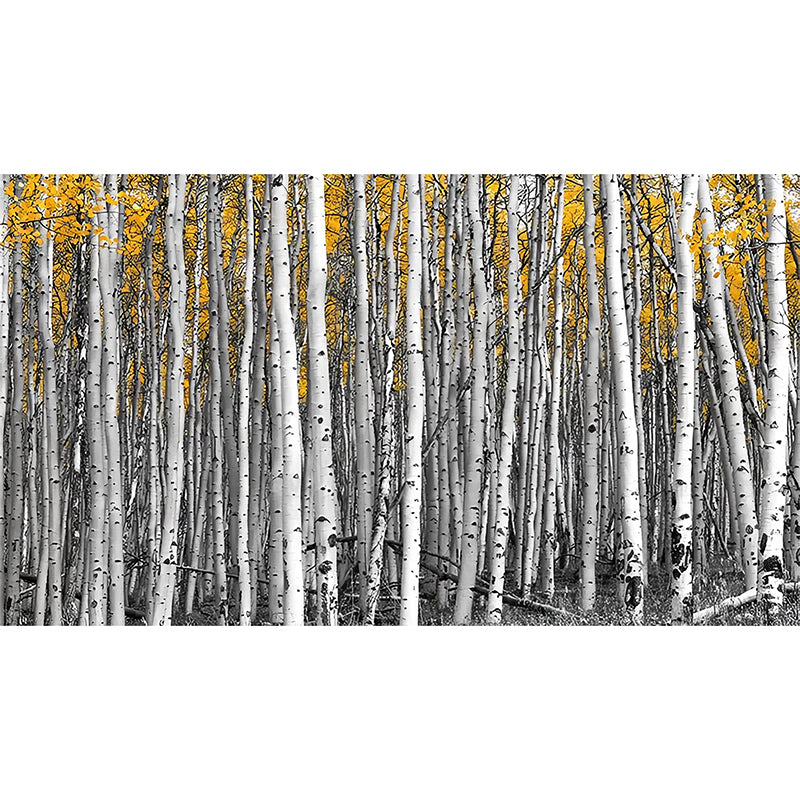 Big Photo Style Simple Mural for Home Decoration with Birch Tree Design in Grey and Yellow Clearhalo 'Wall Decor' 'Wall Mural' 965169