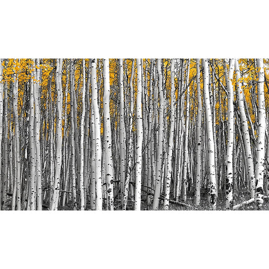 Big Photo Style Simple Mural for Home Decoration with Birch Tree Design in Grey and Yellow Clearhalo 'Wall Decor' 'Wall Mural' 965169