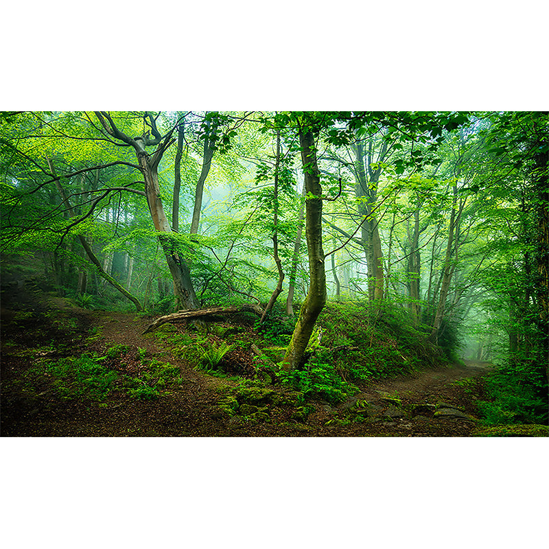 Whole Forest Wall Covering Green Non-Woven Material Mural Wallpaper for Home Decor, Custom-Printed Clearhalo 'Wall Decor' 'Wall Mural' 969878