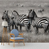 Extra Large Zebra Mural for Home Decor Fantasy Grass Wall Covering in Black and White, Stain-Resistant Clearhalo 'Wall Decor' 'Wall Mural' 990341